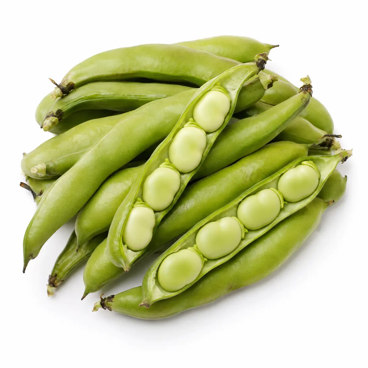 BEANS BROAD