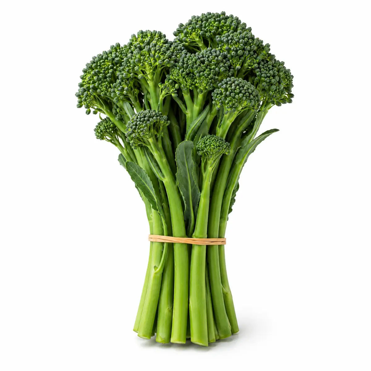 BROCCOLINI