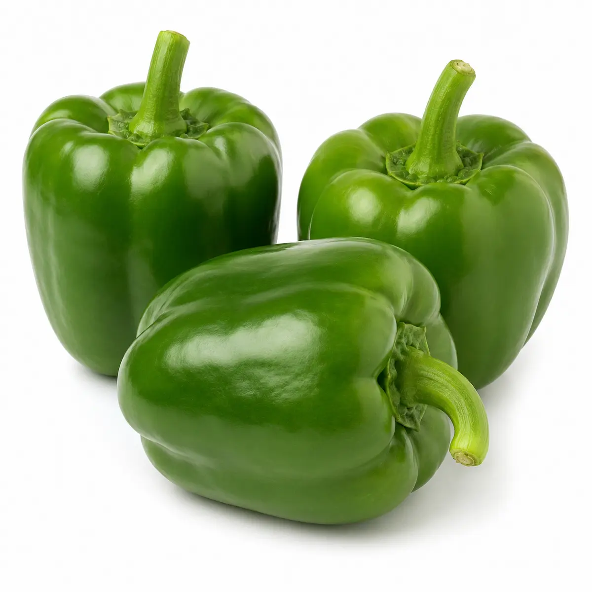 CAPSICUM GREEN