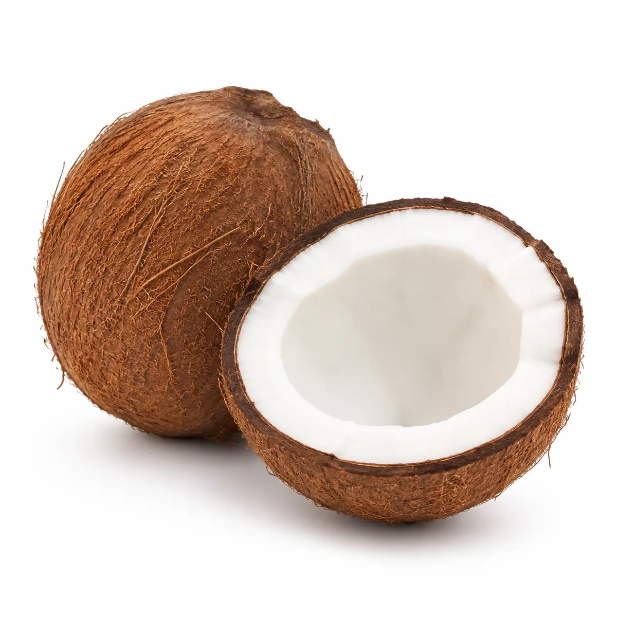 DRY COCONUT