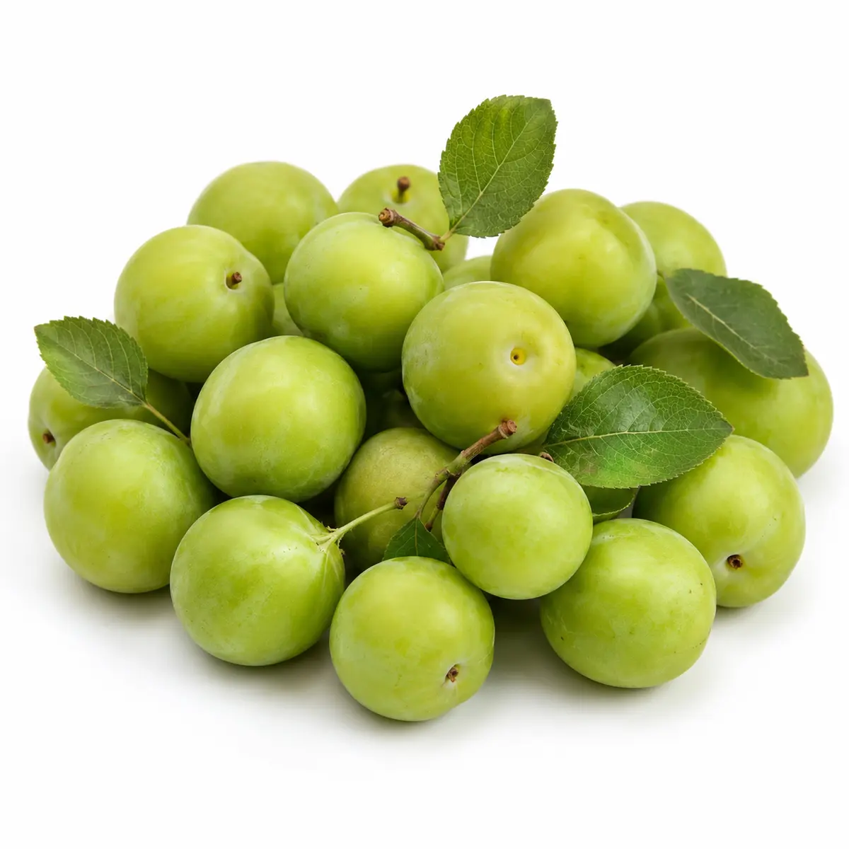 JANAREK