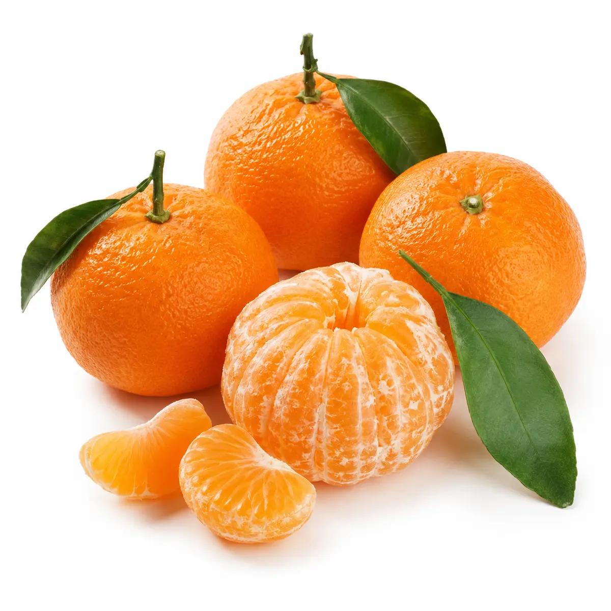 MANDARIN HONEY MURCOTT