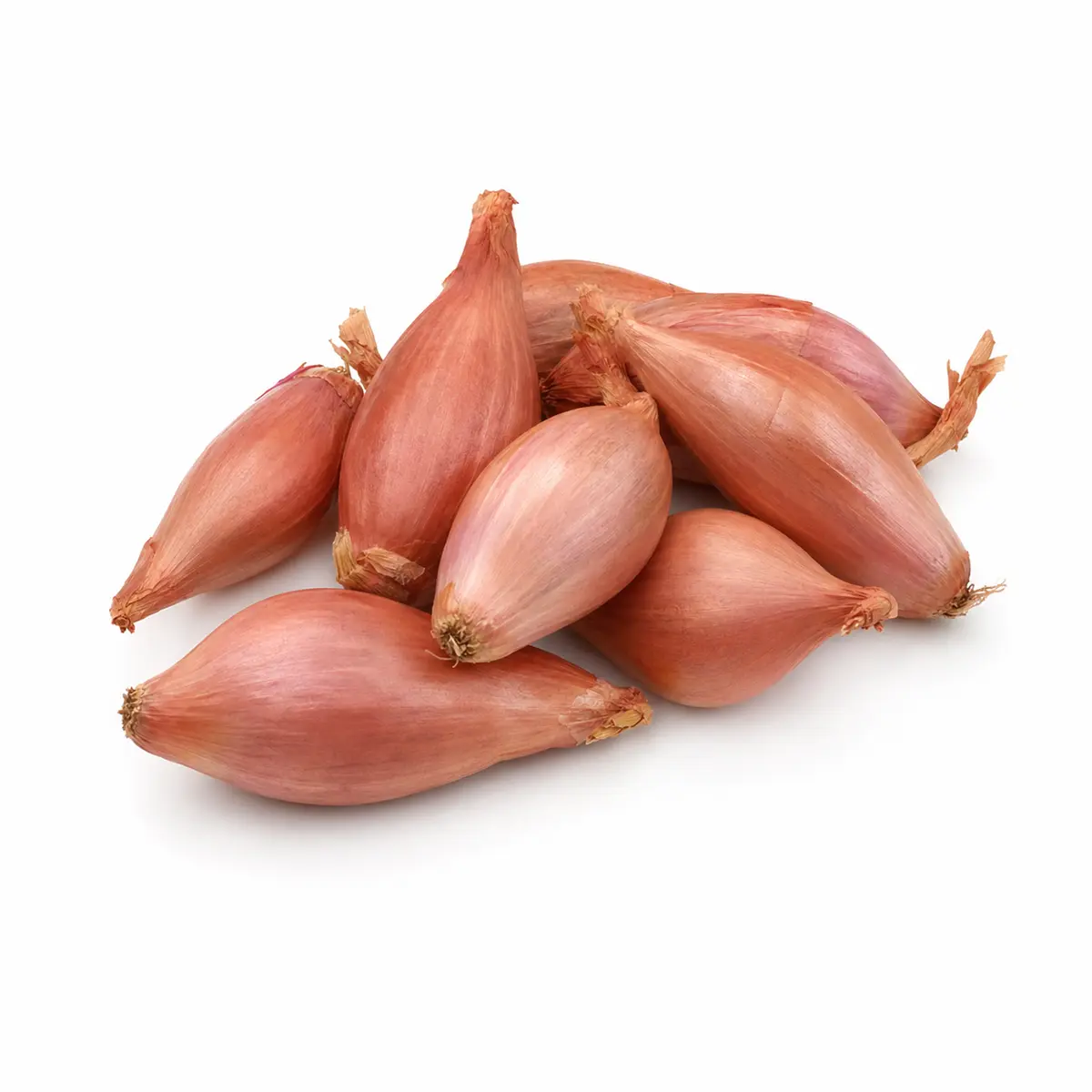 SHALLOTS