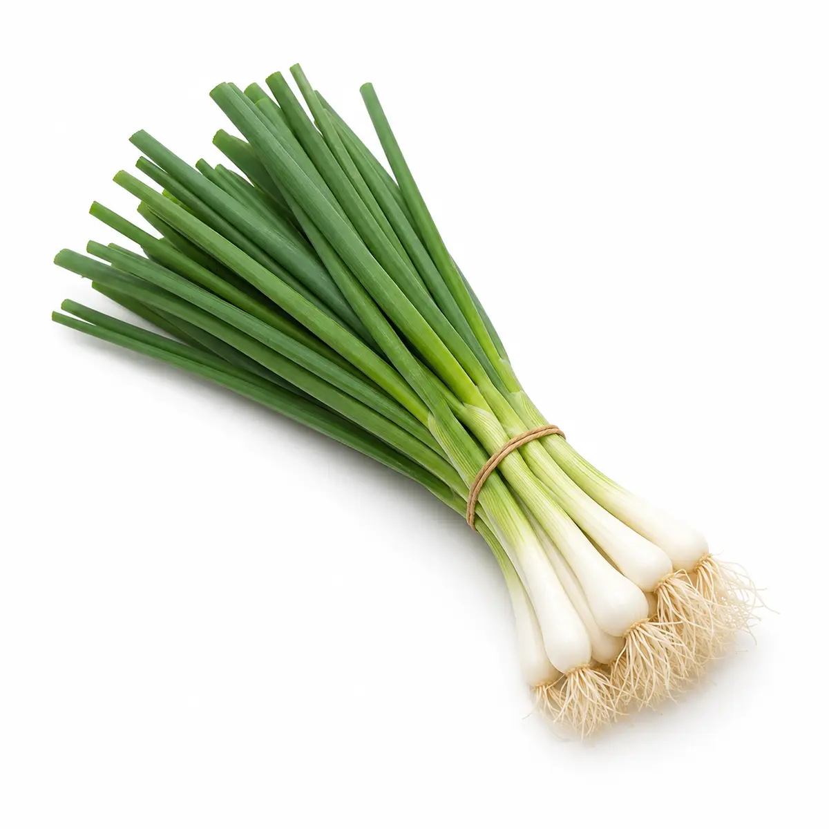 SPRING ONIONS BUNCH